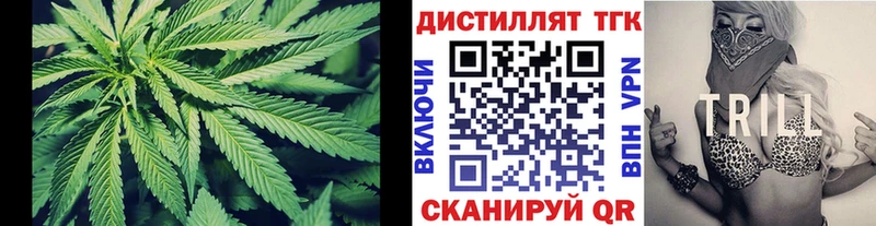 ТГК Wax  Клинцы 