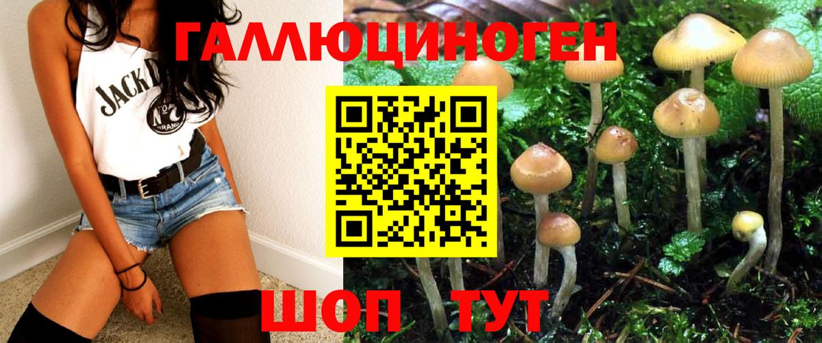 Клинцы  купить закладку  Вход с VPN  Галлюциногенные грибы Psilocybine cubensis 