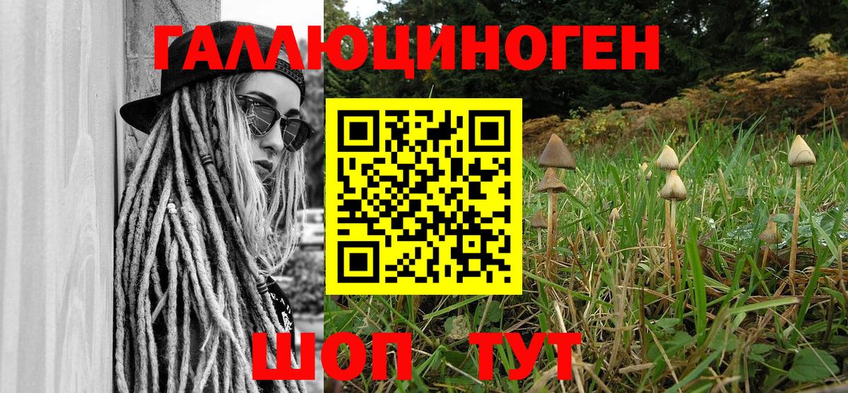 Галлюциногенные грибы Psilocybe Клинцы